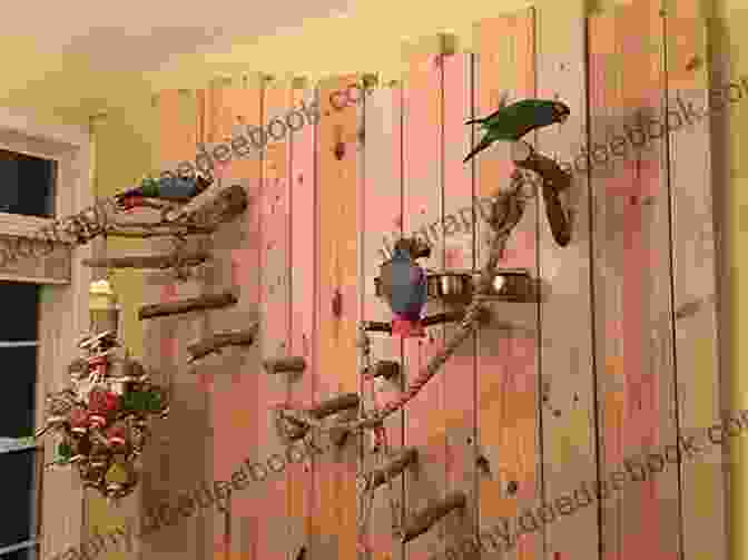 A Colorful Parakeet Perched On A Wooden Perch Inside Its Cage A Beginners Guide To Parakeets