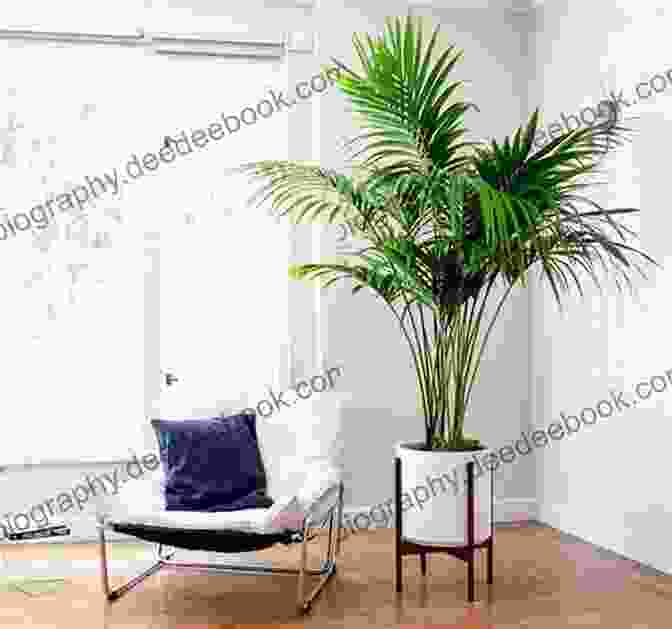A Large Plant In A Living Room Overlay Crochet: 10 Projects Add Dimension And Style To Your Home