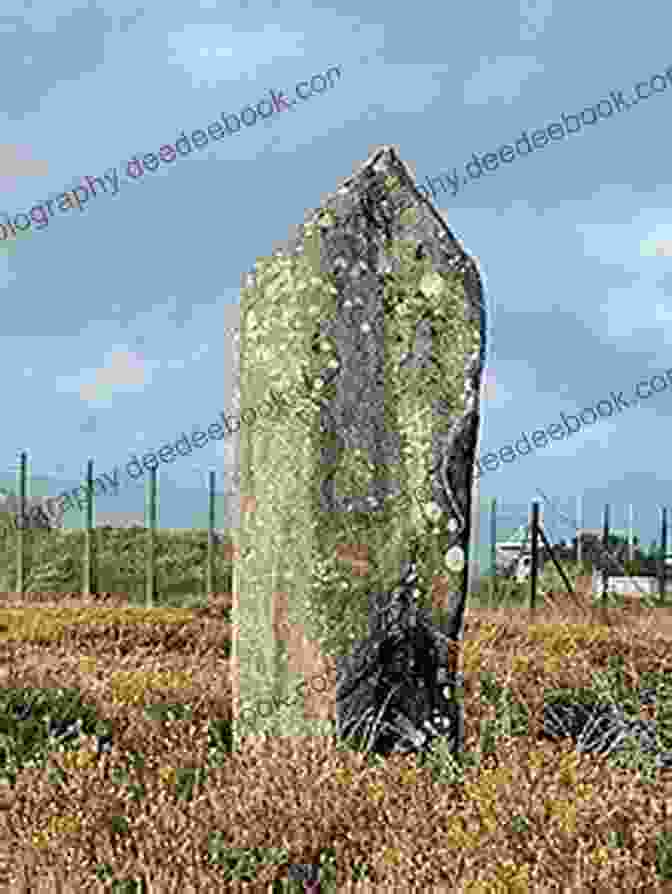 A Menhir, A Single Upright Stone, Often Found In Prehistoric Sites. The Old Stones Of Ireland: A Field Guide To Megalithic And Other Prehistoric Sites