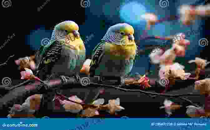 A Pair Of Parakeets Perched On A Branch, Their Vibrant Green Feathers Shimmering In The Light. Quick Easy Parakeet Care Nikki Moustaki