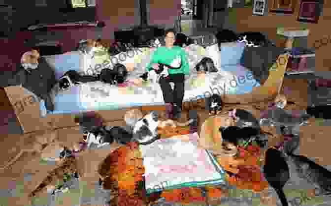 A Single Woman Sitting On A Couch Surrounded By Her Cats Single That: Dispelling The Top 10 Myths Of The Single Woman