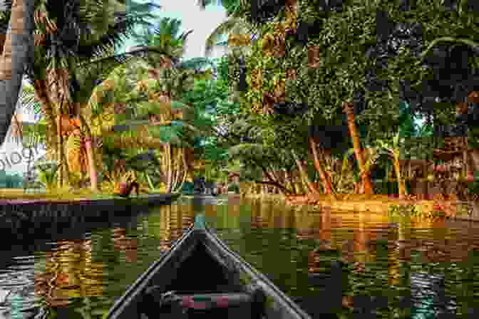 A Tranquil Backwater In Kerala, Where You Can Relax And Enjoy The Scenery While Savoring Delicious Local Dishes. Masala Memories: Travels In The Land Of Colour
