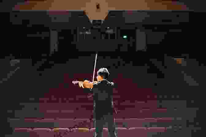 A Violinist Performing On Stage Violin For Dummies 2nd Edition