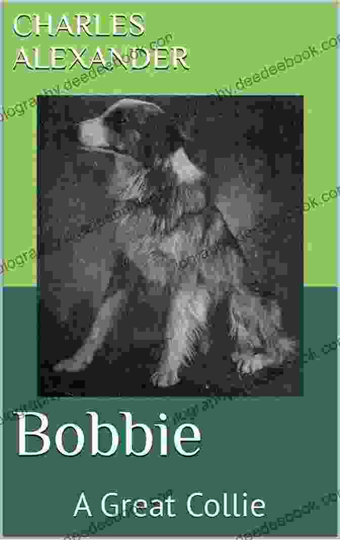 Bobbie Great Collie Robert Volpe Performing A Trick Bobbie: A Great Collie Robert J Volpe