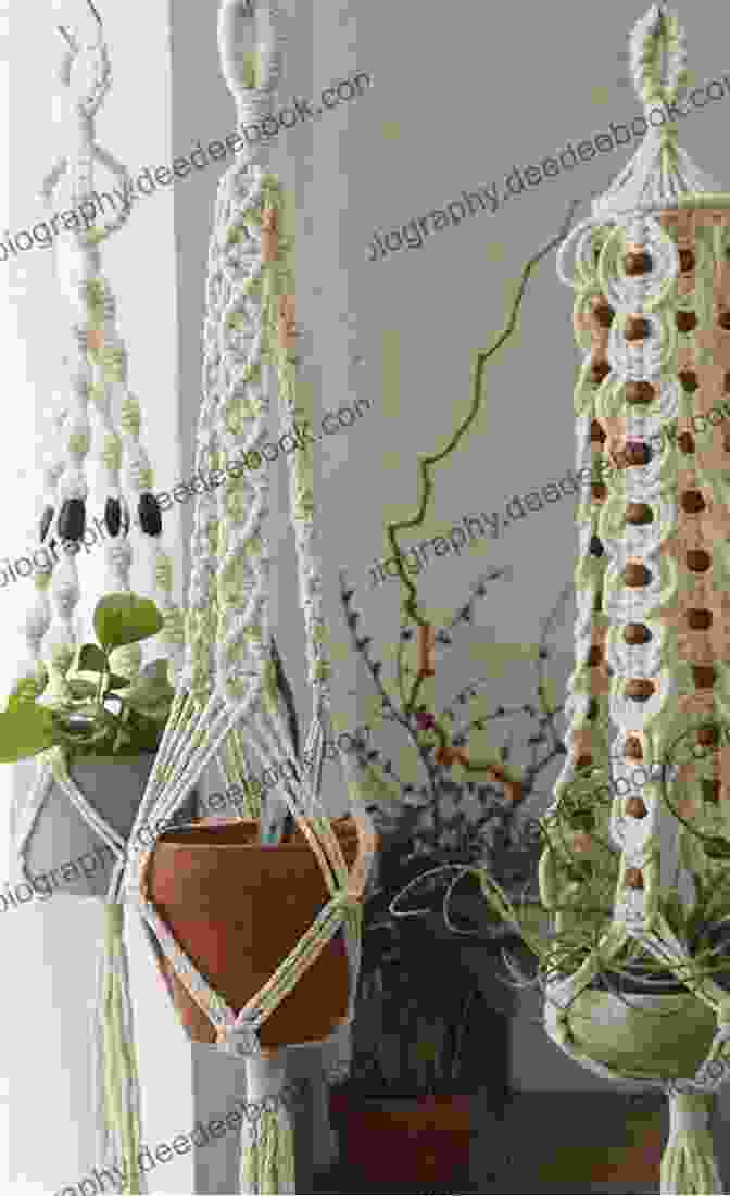 Crochet Macrame Plant Hanger CROCHET MACRAME FOR BEGINNERS: The Complete Guide To Learn And Have Fun With These Techniques To Decorate Your Home Garden And Making Sustainable Clothes With Step By Step Instructions
