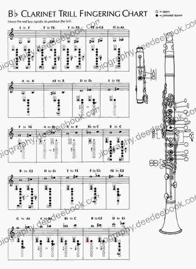 D Fingering Diagram Basic Clarinet Fingering Chart: 84 Colorful Pictures For Beginners (Fingering Charts For Brass Woodwind Instruments)