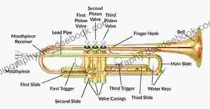 Diagram Of A Trumpet With Labeled Parts Boox: Trumpet: Level 3 Tutorial