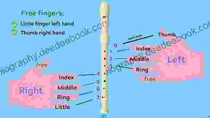 Diagram Showing How To Cover The Holes On The Alto Recorder Alto Recorder Fingering 48 Colorful Pictures For Beginners (Fingering Charts For Brass Woodwind Instruments 3)