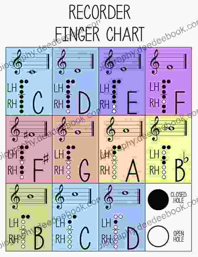 Diagram Showing How To Hold The Alto Recorder Alto Recorder Fingering 48 Colorful Pictures For Beginners (Fingering Charts For Brass Woodwind Instruments 3)