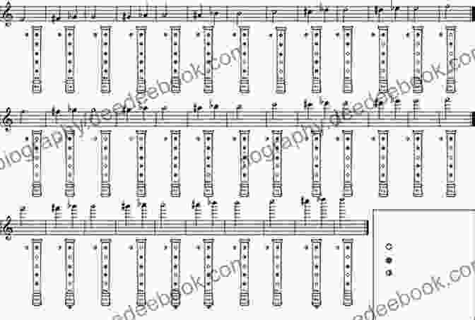 Fingering Chart For The Alto Recorder Alto Recorder Fingering 48 Colorful Pictures For Beginners (Fingering Charts For Brass Woodwind Instruments 3)