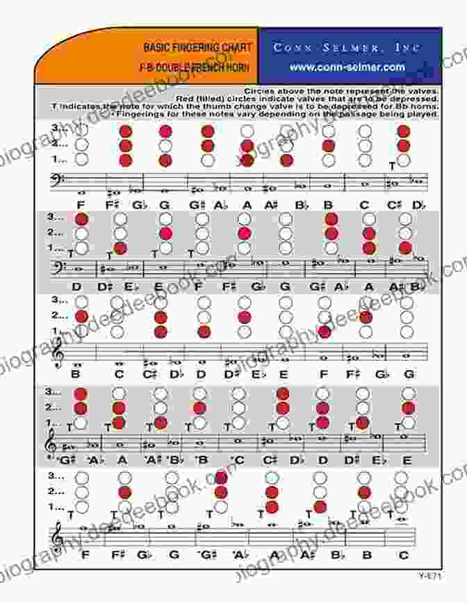 French Horn Fingering Chart Alto Saxophone: Colorful Fingering Chart Full Range (Fingering Charts For Brass Woodwind Instruments 12)
