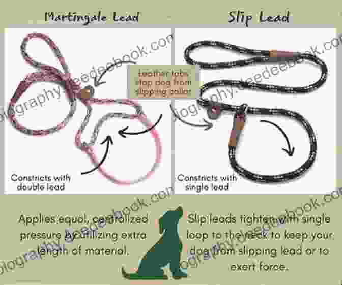 Leash Vs. Slip Lead Leads And Collars 12 Easy To Follow Tutorials: Paracord Projects And Kumihimo (Collars And Leads 1)