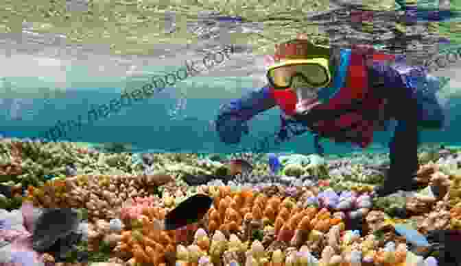 Snorkeling On The Great Barrier Reef, Australia The Rising Tide: Among The Islands And Atolls Of The Pacific Ocean