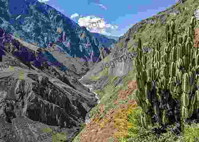 View Of The Colca Canyon AREQUIPA: CIUDAD HECHA DE LUZ ARTE Y FUERZA