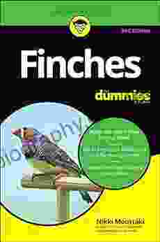 Finches For Dummies Nikki Moustaki