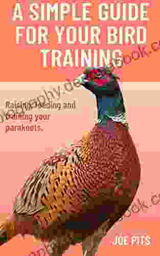 HOW TO TRAIN YOUR BIRD: A COMPLETE GUIDE