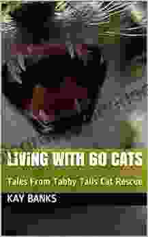 Living With 60 Cats: Tales From Tabby Tails Cat Rescue