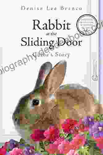 Rabbit At The Sliding Door: Chloe S Story